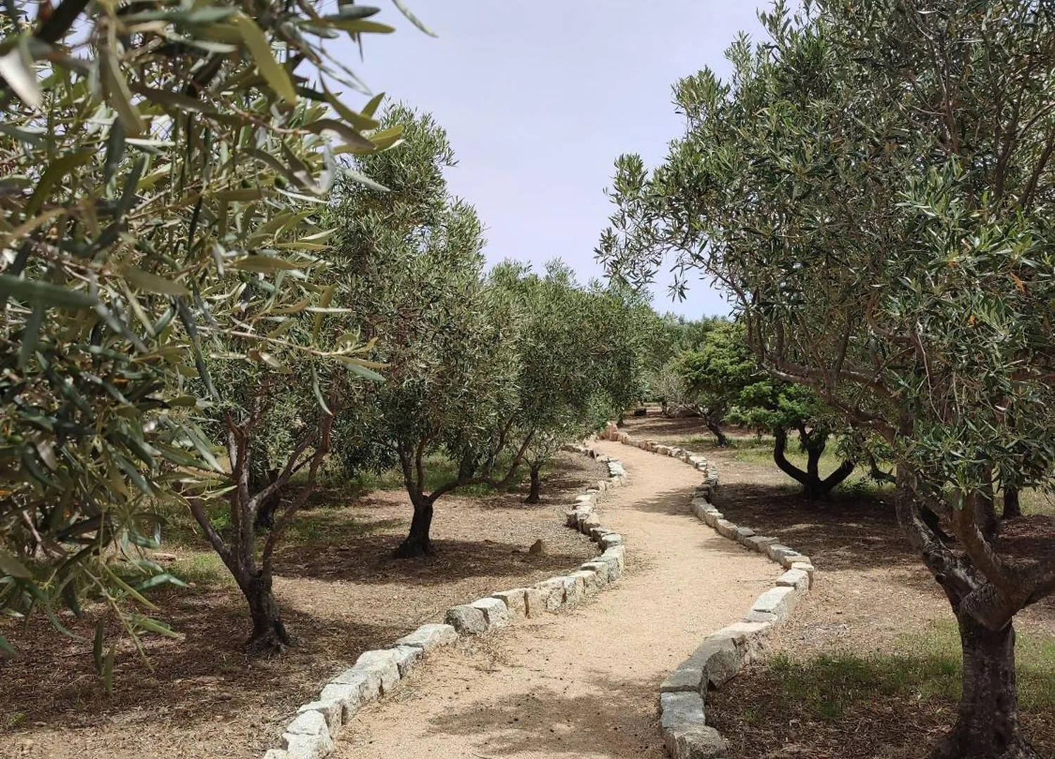Stazzu Barecca B&B Cugnana Verde 0*,  Italien